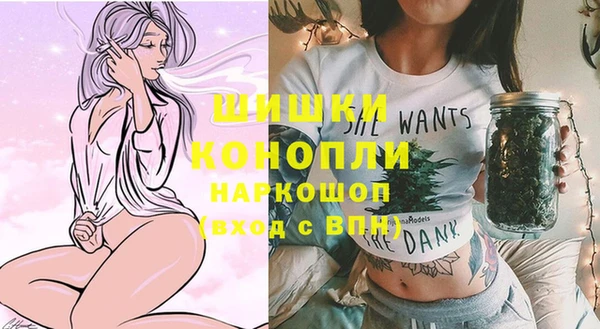 винт Богданович
