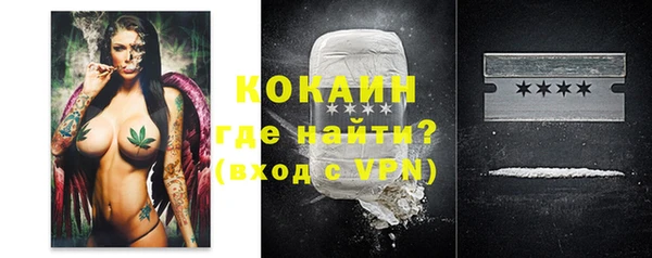 винт Богданович