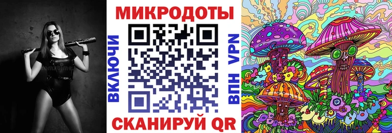 наркота  Циолковский  Псилоцибиновые грибы Magic Shrooms 